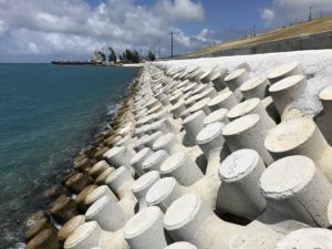 2018 ASCE Best Large Project – Governor Eloy S. Inos Peace Park Puerto Rico, Saipan, CNMI
